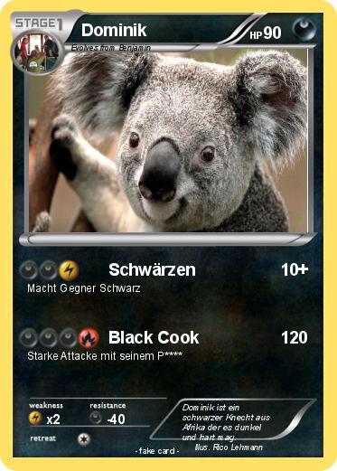Pokemon Dominik
