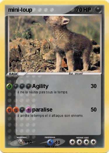 Pokemon mini-loup