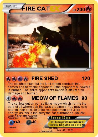 Pokemon FIRE CAT