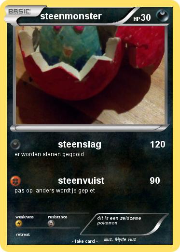 Pokemon steenmonster