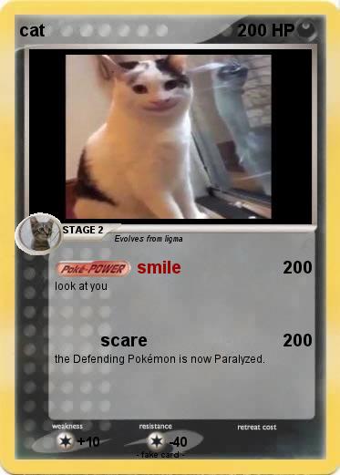 Pokemon cat