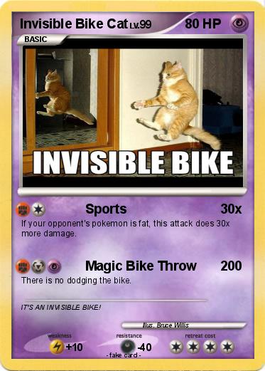 Pokemon Invisible Bike Cat