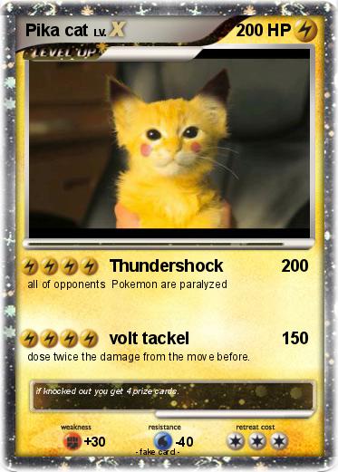 Pokemon Pika cat