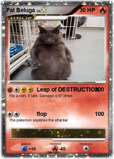 Pokemon Fat Beluga