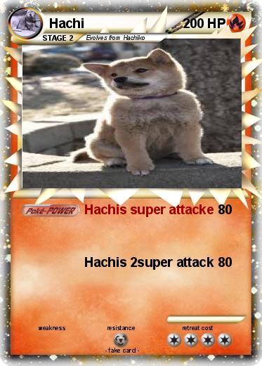 Pokemon Hachi
