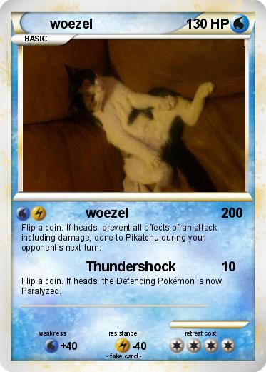 Pokemon woezel