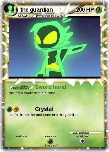 Pokemon the guardian