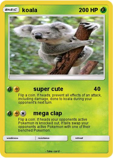 Pokemon koala