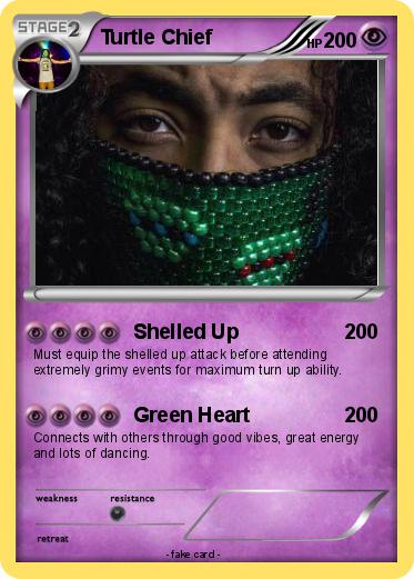 Pokemon Turtle Chief