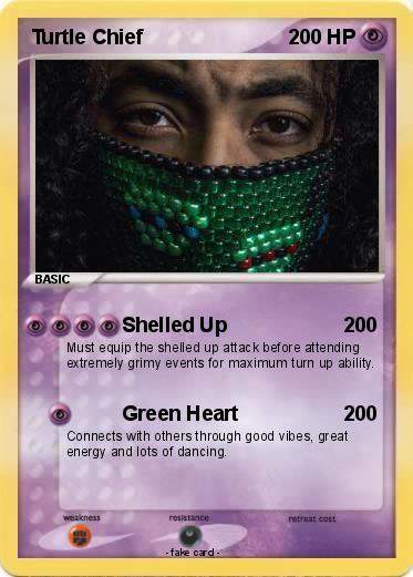 Pokemon Turtle Chief