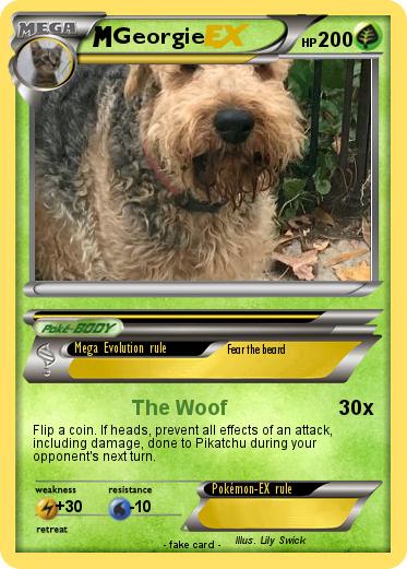 Pokemon Georgie