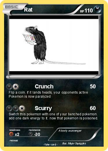 Pokemon Rat