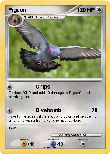 Pokemon Pigeon