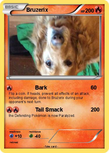 Pokemon Bruzerix