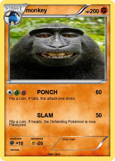 Pokemon monkey