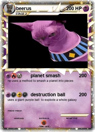 Pokemon beerus