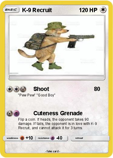 Pokemon K-9 Recruit