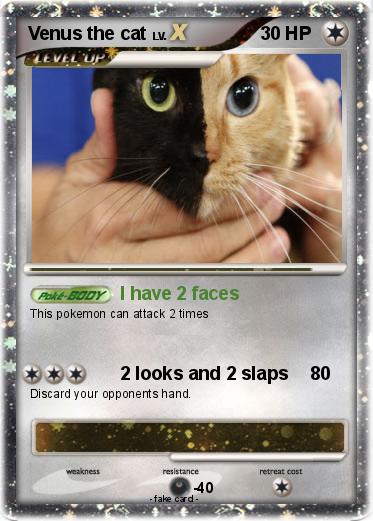 Pokemon Venus the cat
