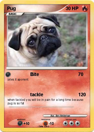 Pokemon Pug