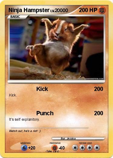 Pokemon Ninja Hampster