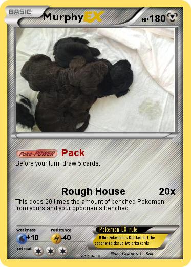 Pokemon Murphy