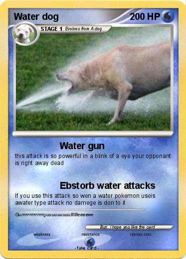Pokemon Water dog