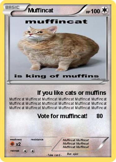 Pokemon Muffincat