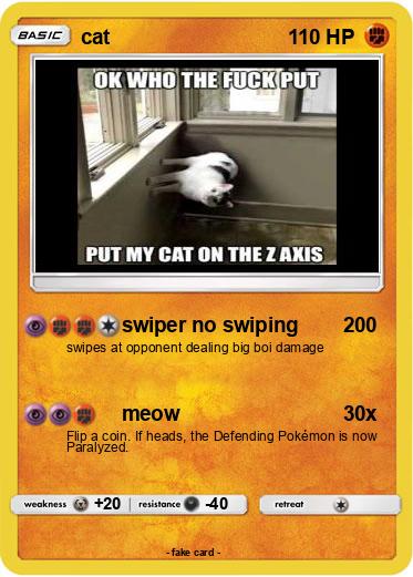Pokemon cat