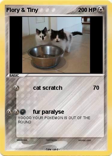 Pokemon Flory & Tiny