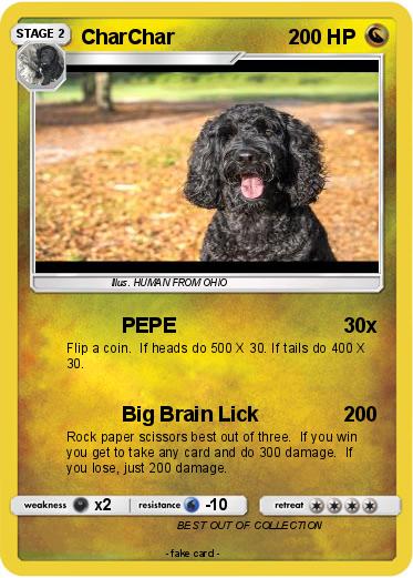 Pokemon CharChar