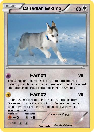 Pokemon Canadian Eskimo