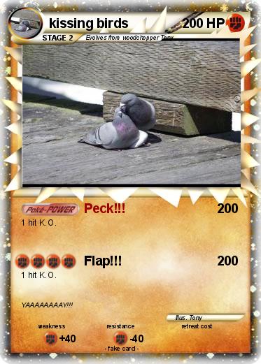 Pokemon kissing birds