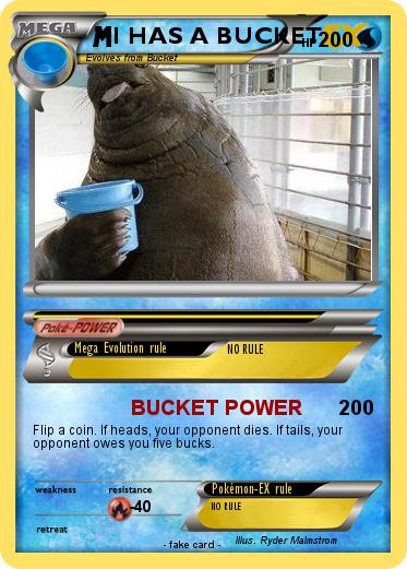 Pokemon I HAS A BUCKET