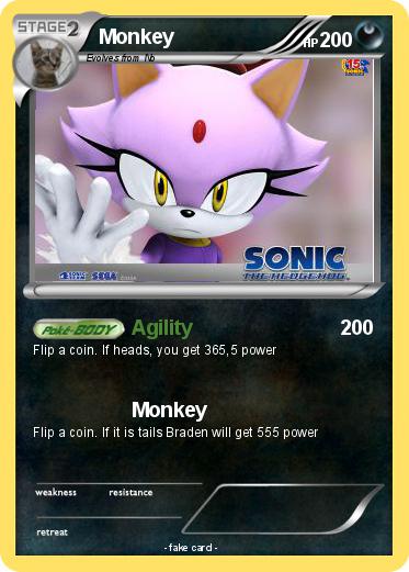 Pokemon Monkey