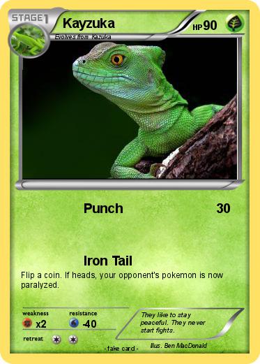 Pokemon Kayzuka