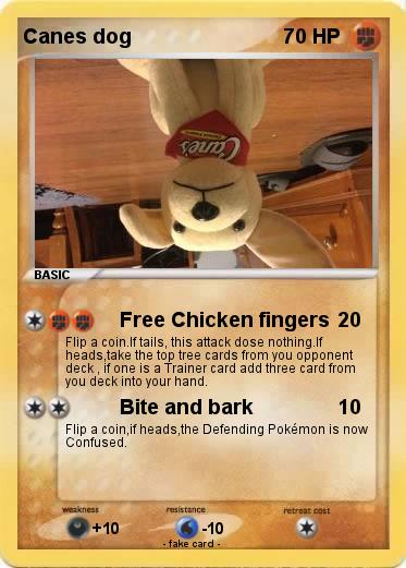 Pokemon Canes dog