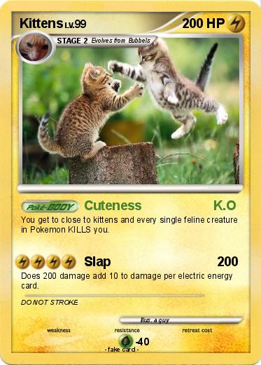 Pokemon Kittens