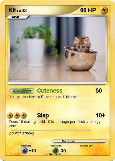 Pokemon Kit