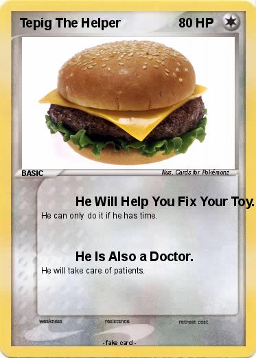 Pokemon Tepig The Helper