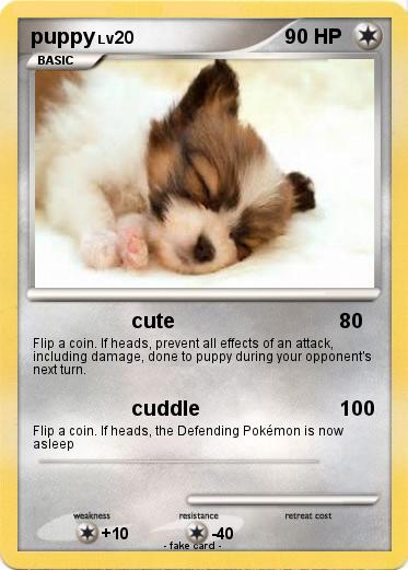 Pokemon puppy