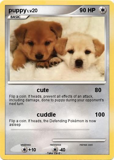 Pokemon puppy