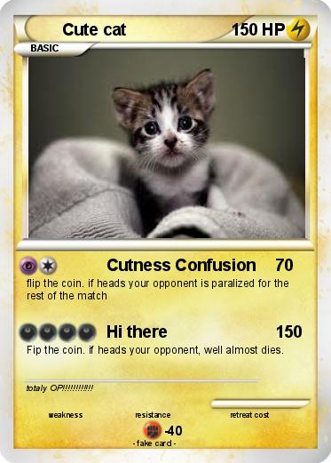 Pokemon Cute cat