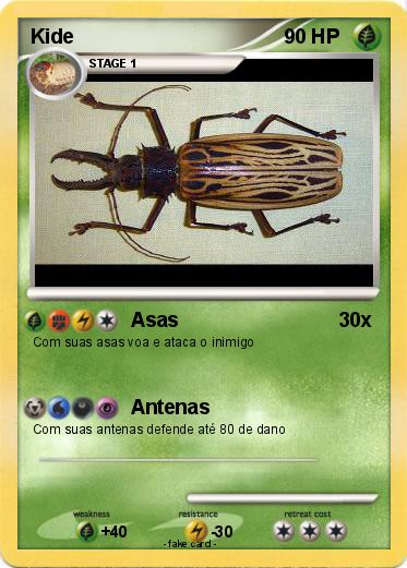 Pokemon Kide