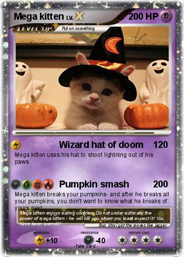 Pokemon Mega kitten