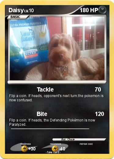 Pokemon Daisy