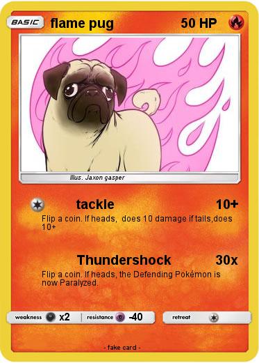Pokemon flame pug
