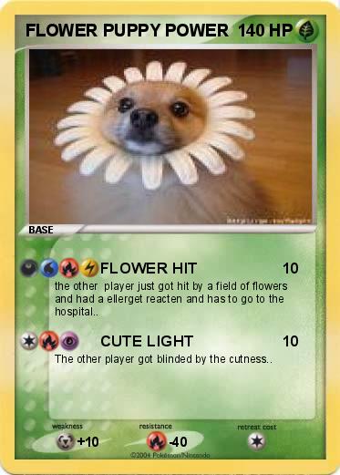 Pokemon FLOWER PUPPY POWER