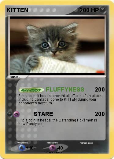 Pokemon KITTEN