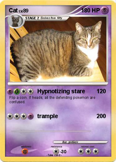 Pokemon Cat