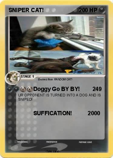 Pokemon SNIPER CAT!